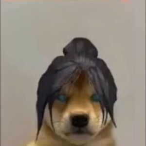 Meet your Posher, Moses